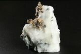 Native Silver in Calcite - Morocco #266130-1